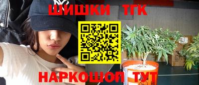 apvp Можга