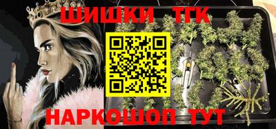 apvp Можга