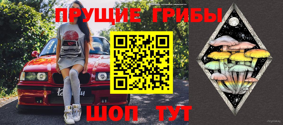 Саяногорск  Галлюциногенные грибы MAGIC MUSHROOMS  Вход с VPN  Галлюциногенные грибы мицелий 